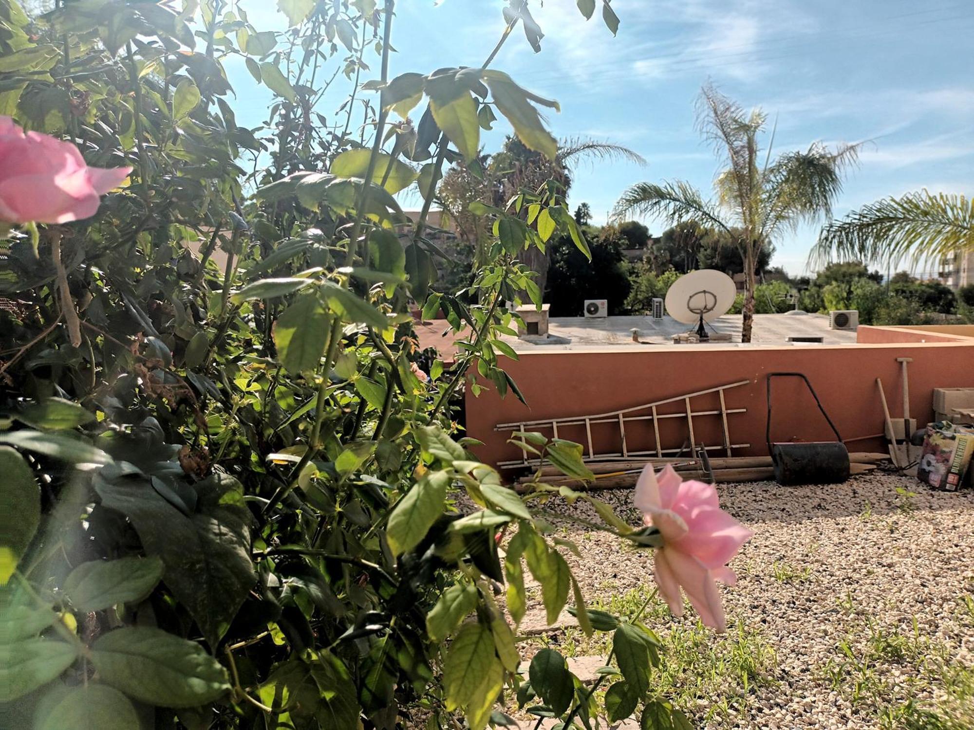 Guesthouse En Coveta Fuma- El Campello Eksteriør billede